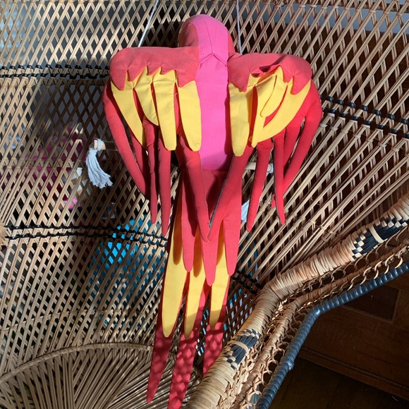 🦜 Parrot - Picture 4 of 5